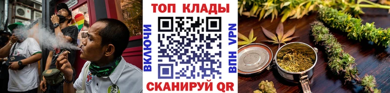 Где найти наркотики Суздаль Амфетамин  Псилоцибиновые грибы  МЕТАДОН  Конопля  Cocaine  Меф мяу мяу  ГАШИШ 